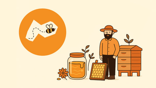 How bees make honey