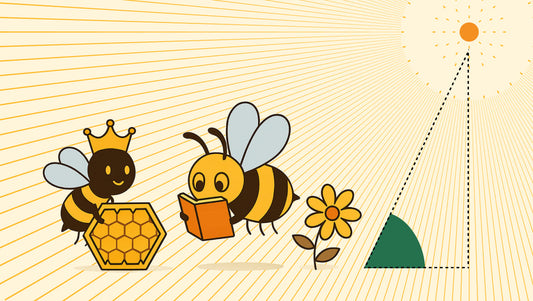 The wonderful world of Honey bees