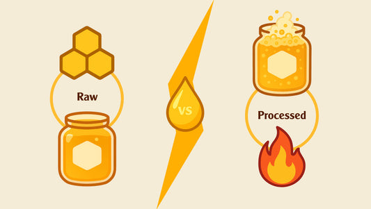 Raw vs Processed Honey: What’s the Real Difference?