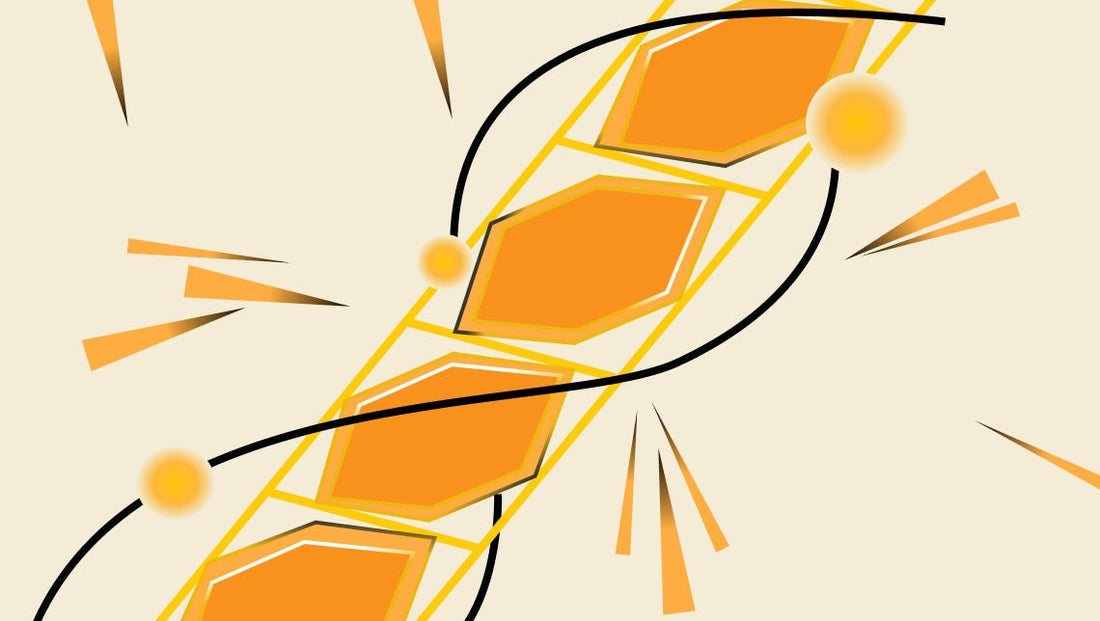Does Honey Boost Immunity? - HoneyVeda
