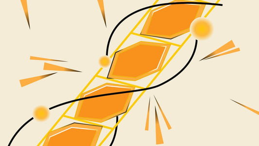 Does Honey Boost Immunity? - HoneyVeda