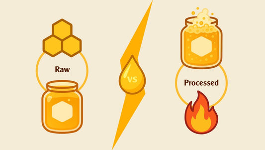 Raw vs Processed Honey: What’s the Real Difference? - HoneyVeda