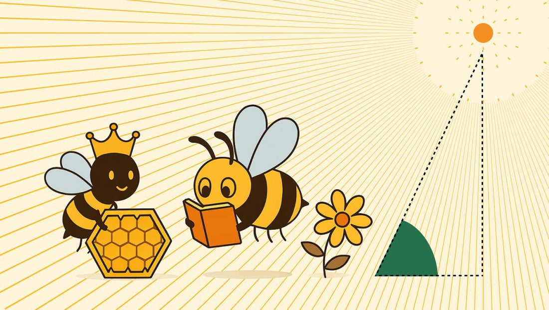 The wonderful world of Honey bees - HoneyVeda