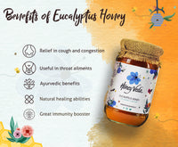 Thumbnail for Eucalyptus (Nilgiri) Raw Honey
