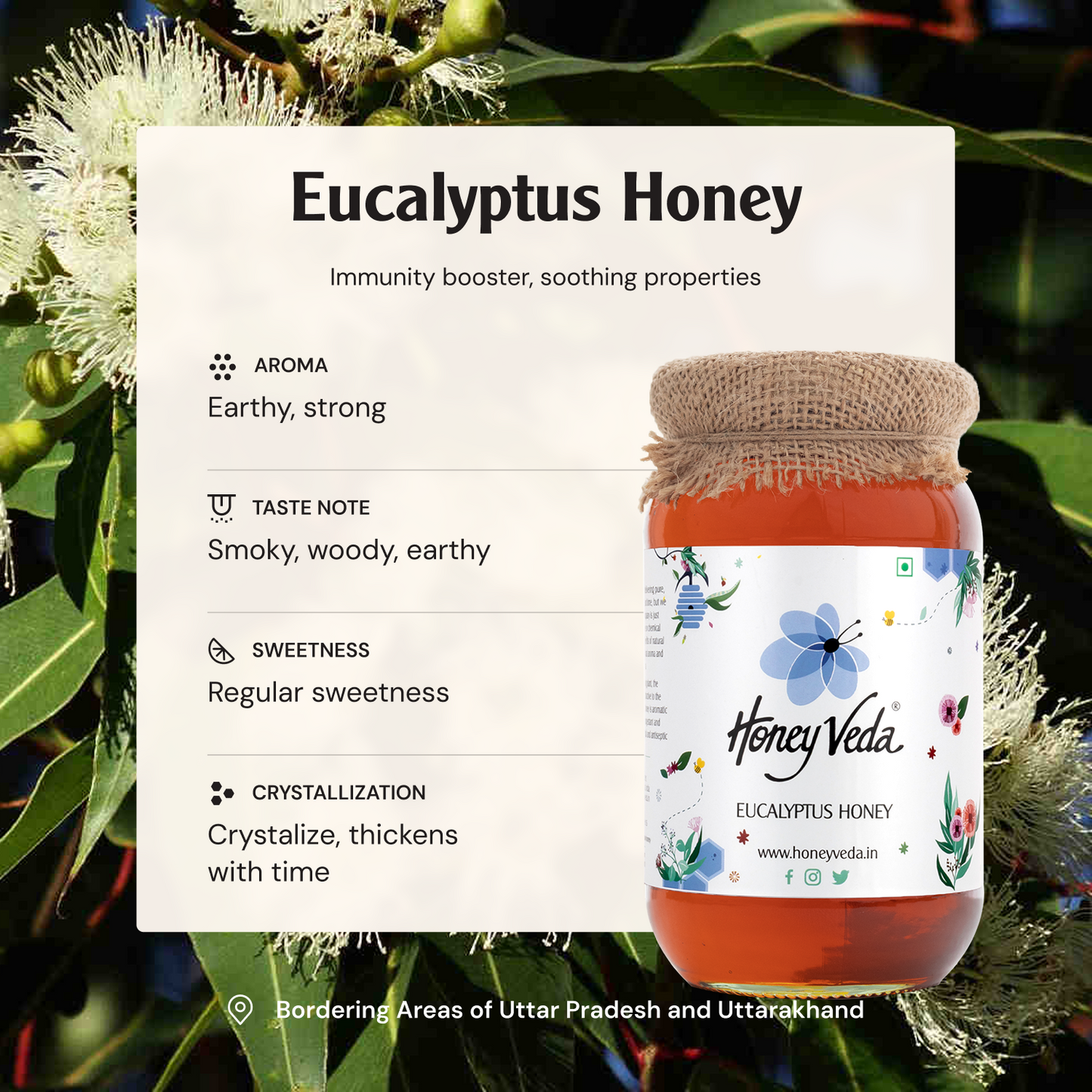 Eucalyptus Honey