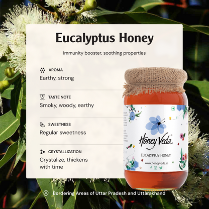 Eucalyptus Honey
