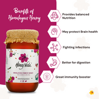 Thumbnail for Himalayan Forest Raw Honey