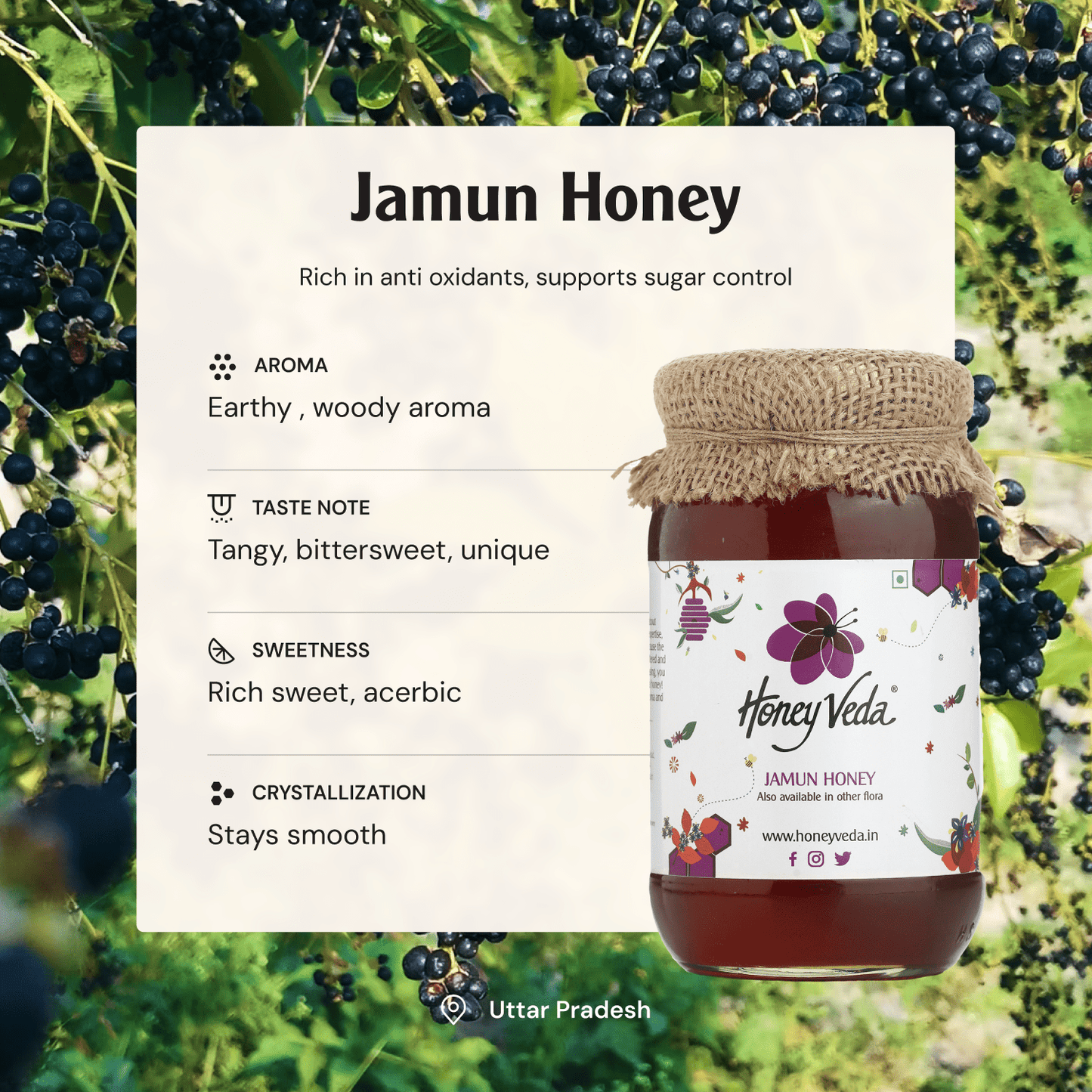 Jamun Honey - HoneyVeda