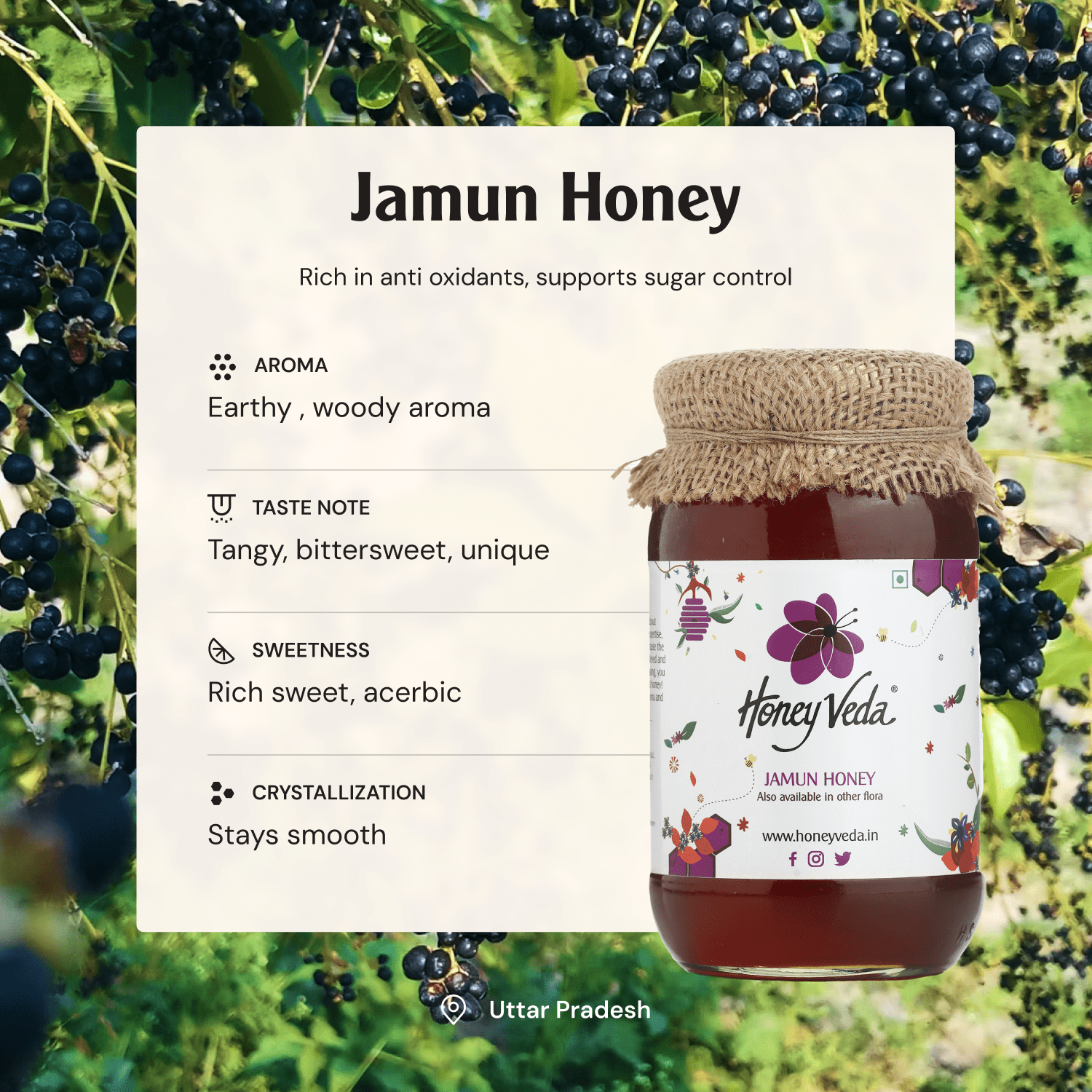 Jamun Honey - HoneyVeda